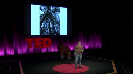 Matt Cutts Try something new for 30 days