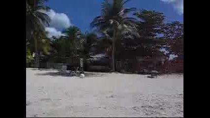 Surf & Sun - Jamaica