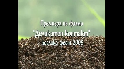 Бифор и Афтър Беглика 2009