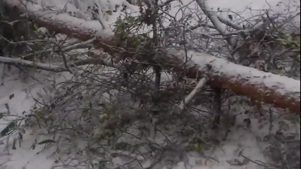 Първи сняг - "Моята новина"