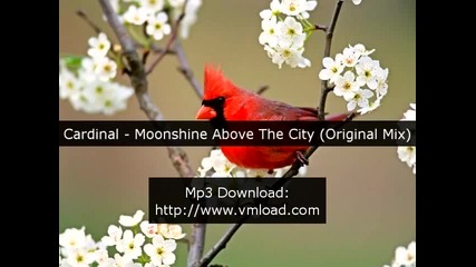 cardinal - moonshine above the city 2009 