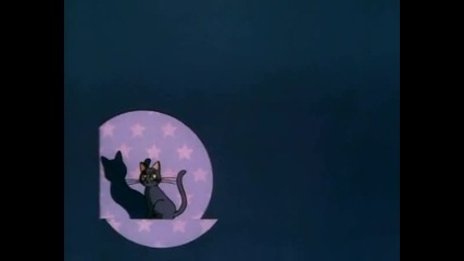 Sailor Moon - episode 14