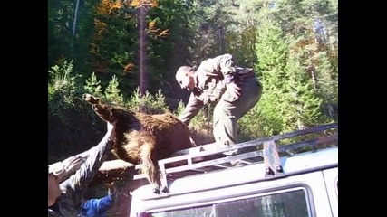 Ловна дружина Виево