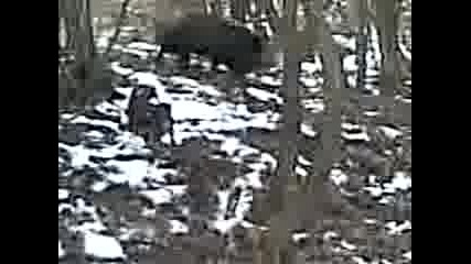 Видео016.3gp