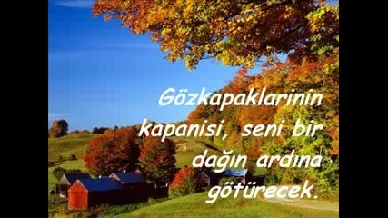 Sen Ve Son