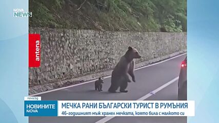 Мечка нападна българин в Румъния, мъжът е опериран