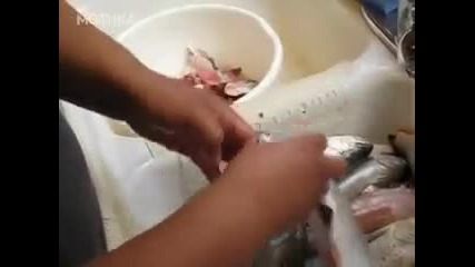Бърз и Ефикасен начин за чистене на риба