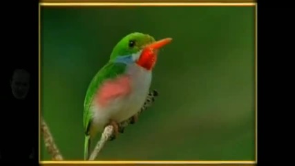May Be You Blessed Hd