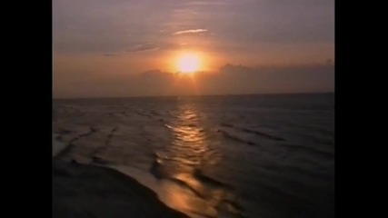 Discovery Channel - Dinosaur Babies - The North America Story elit - bg.com 