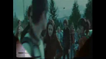 Dreams Come True - twilight