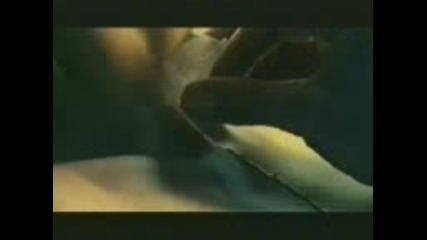 Sexy Commercial