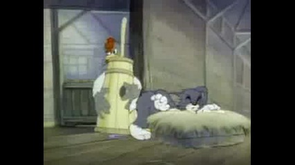 Tom And Jerry - 008 - Fine Feathered Frien