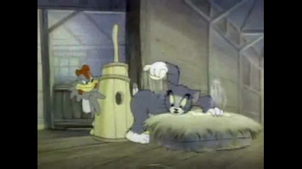 Tom And Jerry -fine Feathered Friend