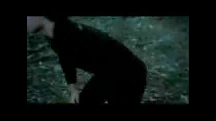 Paramore Decode - Chipmunk Version