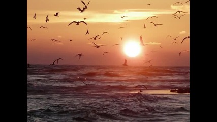 Paul Mauriat - Last Summer Day