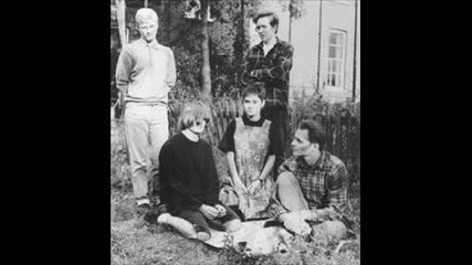 The Field Mice - Anoint Peel session