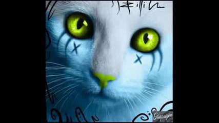 Giash - Muscipula ( Andrea Roma Remix )