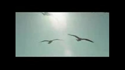 Victoria Justice - You're The Reason Hd