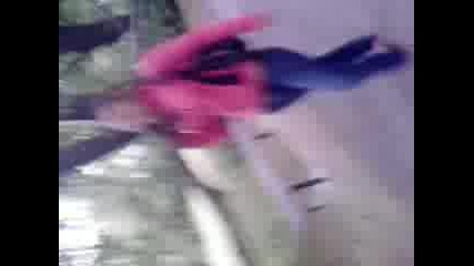Ima me si Pu6ki - - 