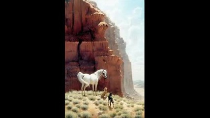 horse.wmv