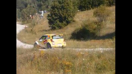 Рали България 2010 
