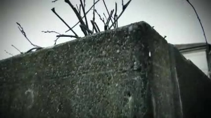 Dado Polumenta - Moja srno Video Spot