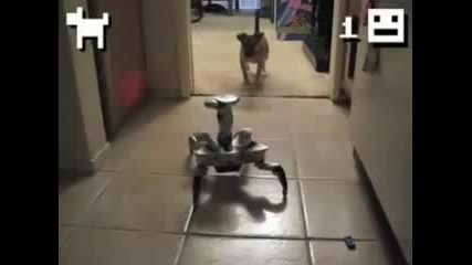 Кученце срещу робот 