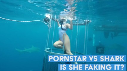Here's why the cam girl shark attack video is fishy