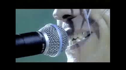 Rammstein - Wilder Wein