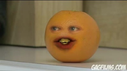 Досаден портокал с друг досаден портокал