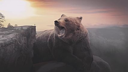 Celtic Forest Music - Grizzly Mountains