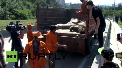 Georgia: Dead tigers, lions hauled off the streets of Tbilisi