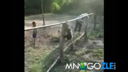 Хвани Ме Де *смях*
