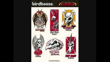 Bird House - Skateboards and Fingerboards ( Скейтборда на Tony Hawk) 