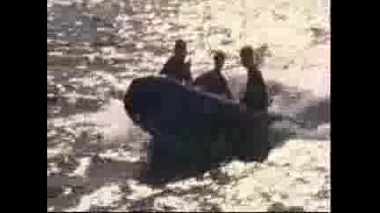Sea Monsters 7 - Giant Mosasaurs