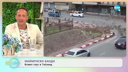 Бум на пластичните операции в Китай - На кафе (28.07.2021)