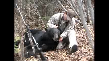 Bear Hunting