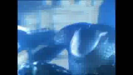 Korn - System vampire Lestat