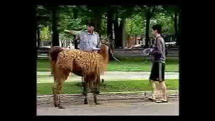 Скрита Камера - Дръж За Малко