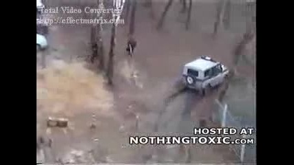 pitbull В атака 