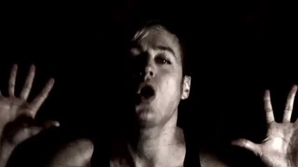 Joy Serene - Celebrate the Silence