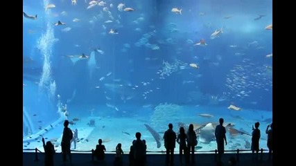 Втория по - големина аквариум в света