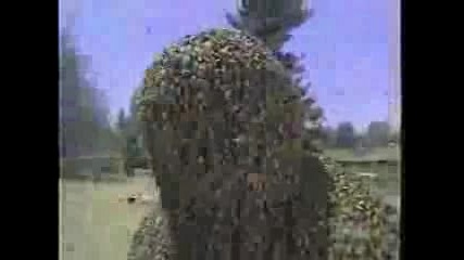 Човек Накацан От 350 000 Пчели - Рекорд на Гинес