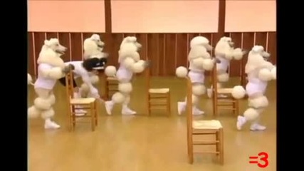 =3 by Ray William Johnson Episode 19: Mutant Poodles 