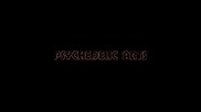 Psychedelic Arts - Metamorph