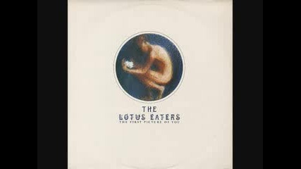 The Lotus Eaters - First Picture Of You