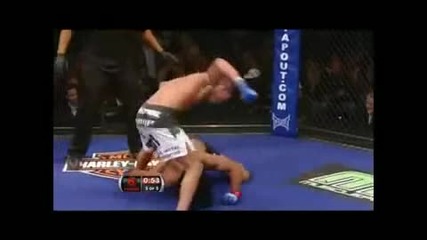 Anthony Pettis Superkick