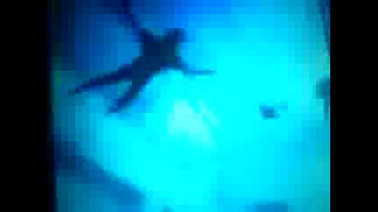видео0013.3gp