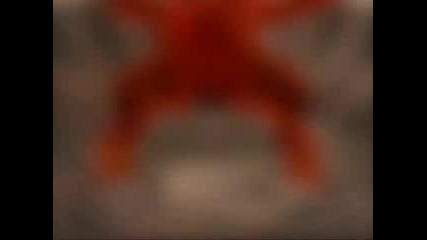 Naruto Vs Orochimaru