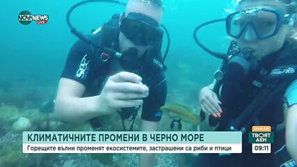 Горещите вълни застрашават риби и птици по Черноморието